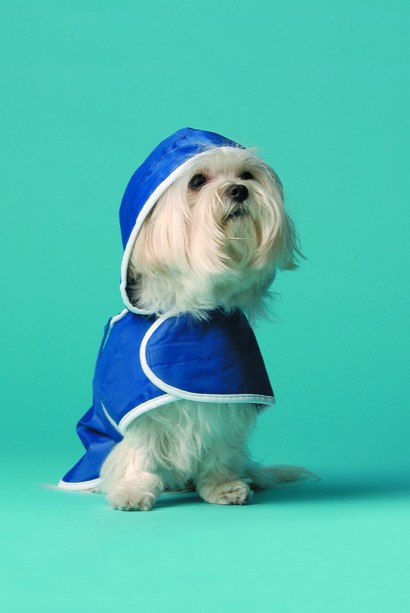 pakita-pedro bernal-batidora de ideas 3